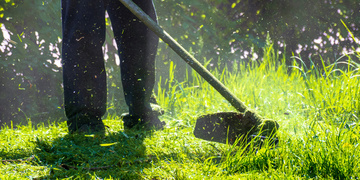Confiez la taille de vos haies à un jardinier